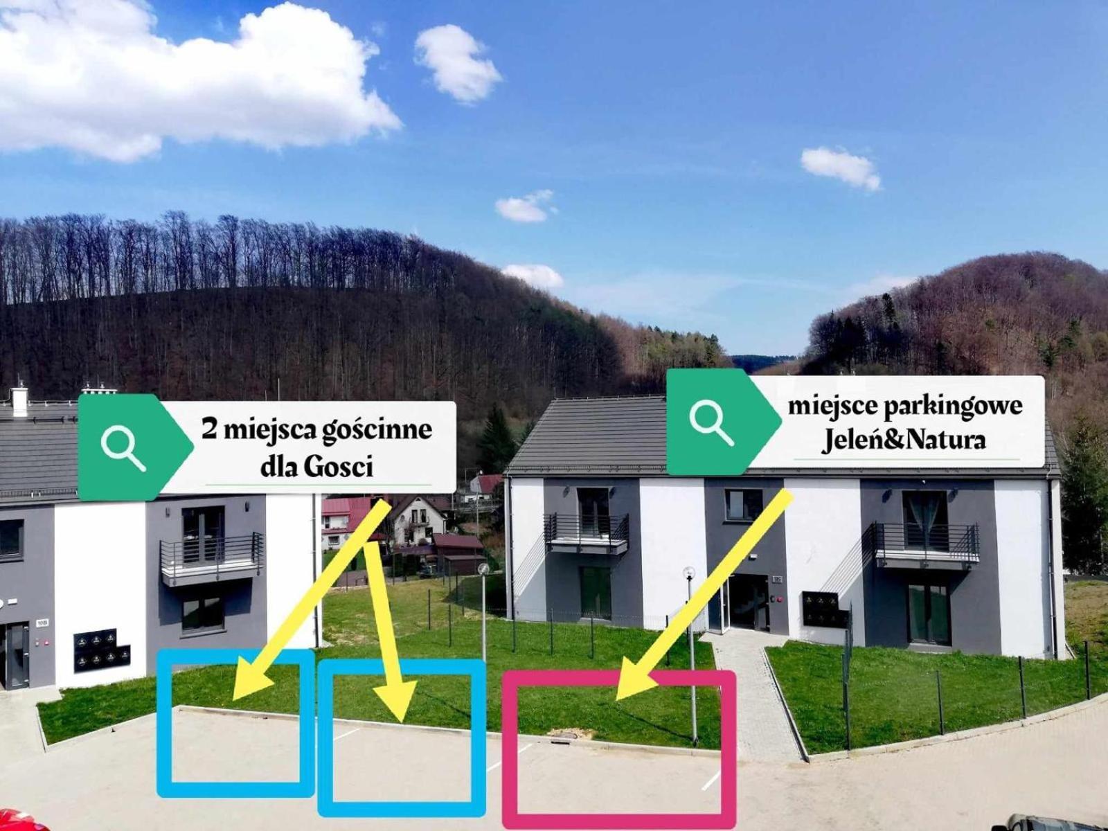 Apartment Roku 2025 !! Spa & Relax Jelen & Natura クドヴァ・ズドゥルイ エクステリア 写真